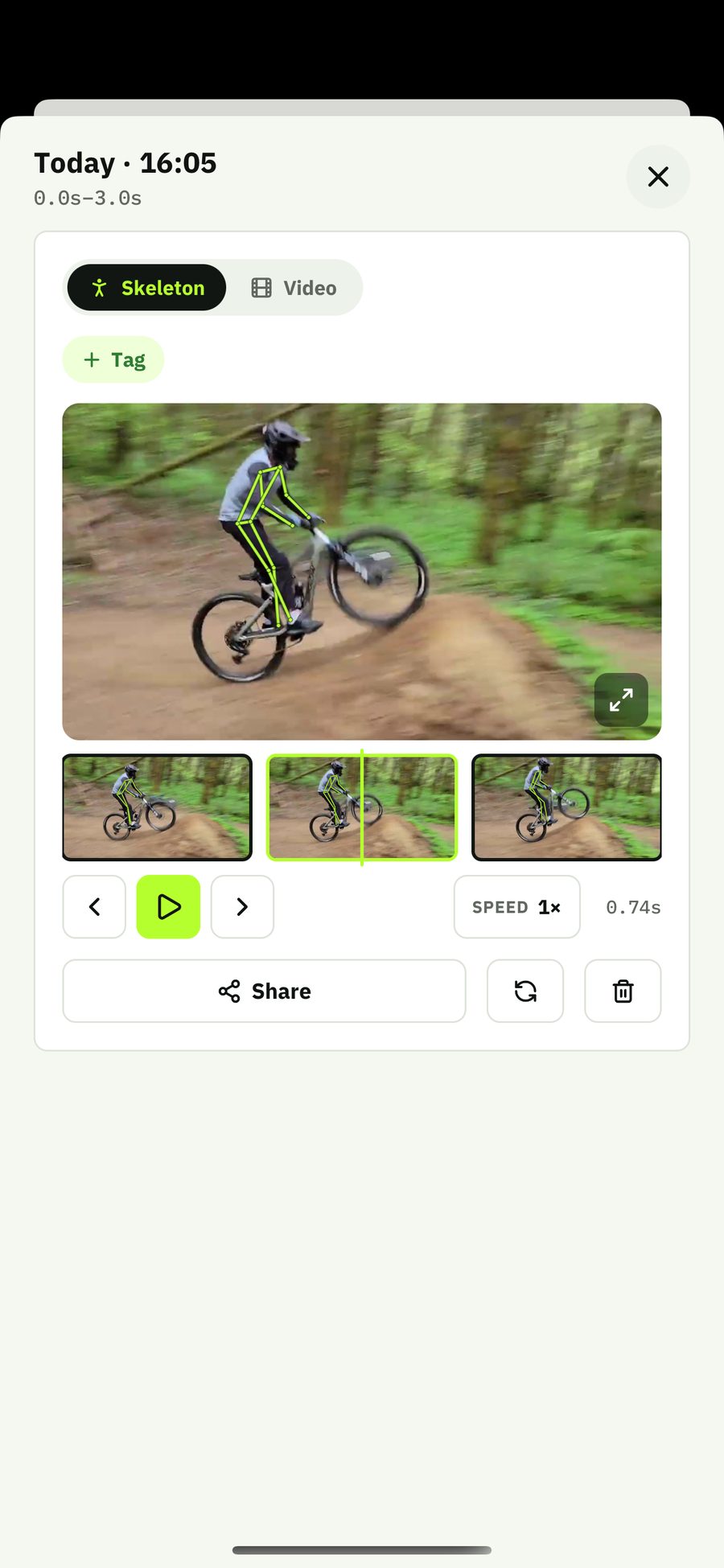 Frame-by-frame stepping controls